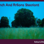 A poster of a field with trees and grasses